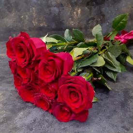 Букет из 11 красных роз Эксплорер 70см