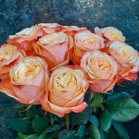 Букет из 13 пионовидных роз Кахала 60см