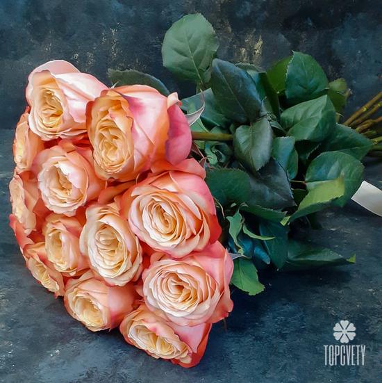 Букет из 13 пионовидных роз Кахала 60см