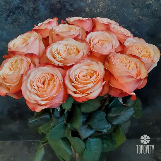 Букет из 13 пионовидных роз Кахала 60см