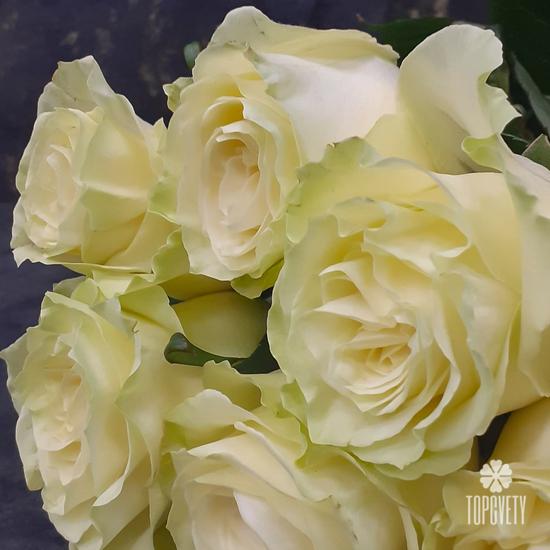 Букет из 13 белых роз Мондиаль 70см