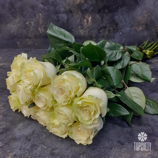 Букет из 13 белых роз Мондиаль 70см