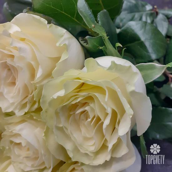 Букет из 13 белых роз Мондиаль 70см