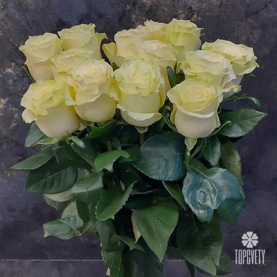 Букет из 13 белых роз Мондиаль 70см