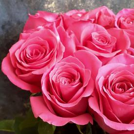 Букет из 13 розовых роз Пинк Флойд 70см