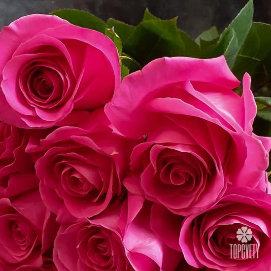 Букет из 13 розовых роз Пинк Флойд 70см