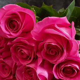 Букет из 13 розовых роз Пинк Флойд 70см