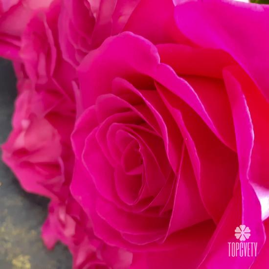 Букет из 13 розовых роз Пинк Флойд 70см