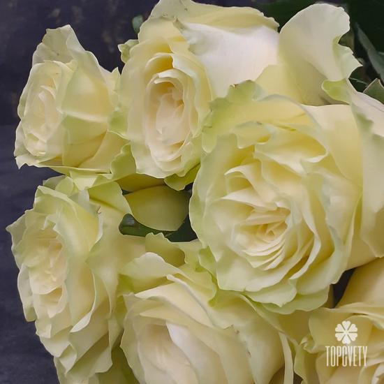 Букет из 15 белых роз Мондиаль 70см