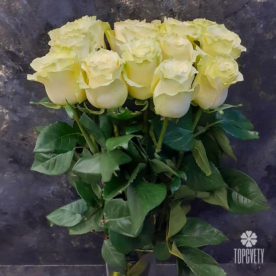 Букет из 15 белых роз Мондиаль 70см