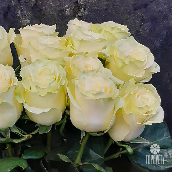 Букет из 15 белых роз Мондиаль 70см