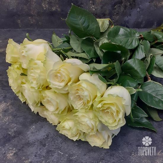 Букет из 15 белых роз Мондиаль 70см