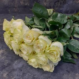 Букет из 15 белых роз Мондиаль 70см