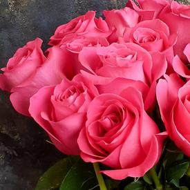 Букет из 15 розовых роз Пинк Флойд