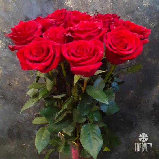 Букет из 15 красных роз Эксплорер 70см