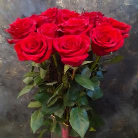 Букет из 15 красных роз Эксплорер 70см