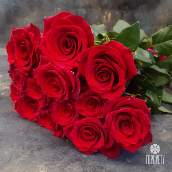 Букет из 15 красных роз Эксплорер 70см
