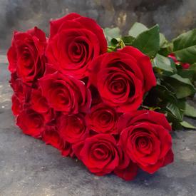 Букет из 15 красных роз Эксплорер 70см
