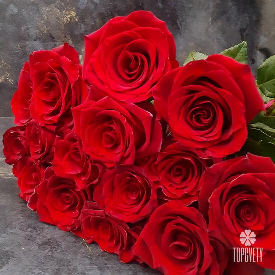 Букет из 15 красных роз Эксплорер 70см