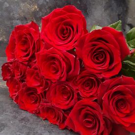 Букет из 15 красных роз Эксплорер 70см