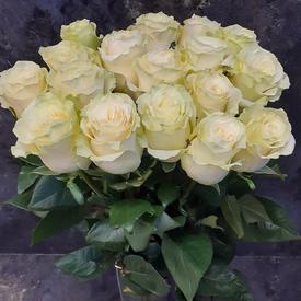 Букет из 17 белых роз Мондиаль 70см