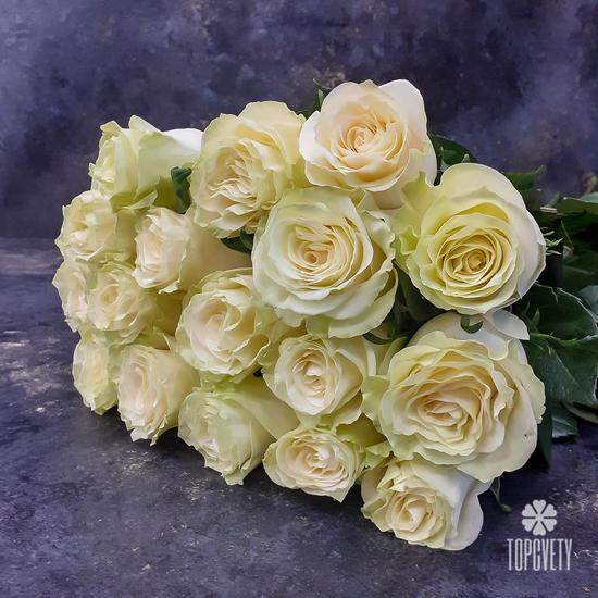 Букет из 17 белых роз Мондиаль 70см