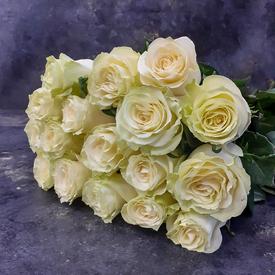 Букет из 17 белых роз Мондиаль 70см