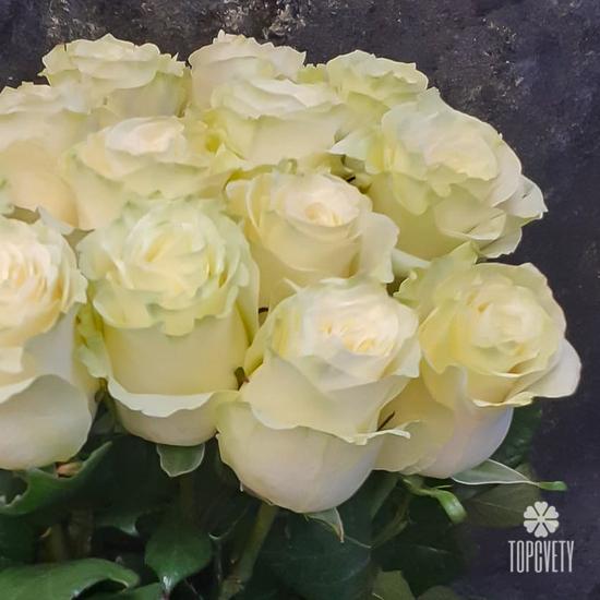 Букет из 17 белых роз Мондиаль 70см