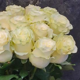 Букет из 17 белых роз Мондиаль 70см