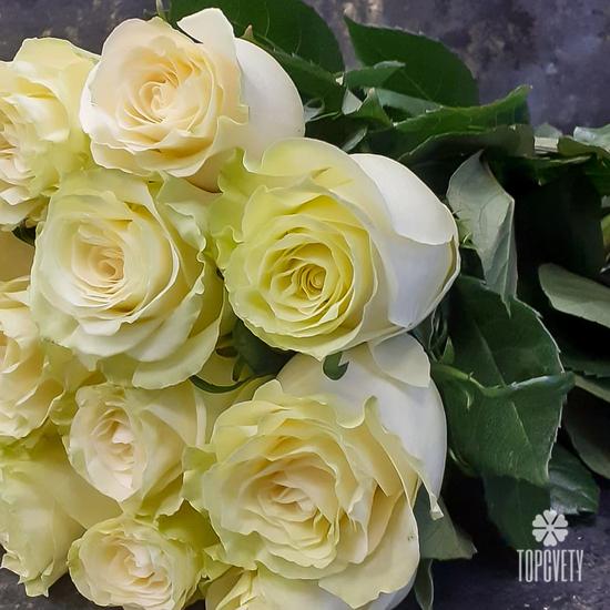 Букет из 17 белых роз Мондиаль 70см