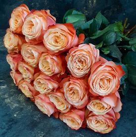Букет из 19 пионовидных роз Кахала 60см