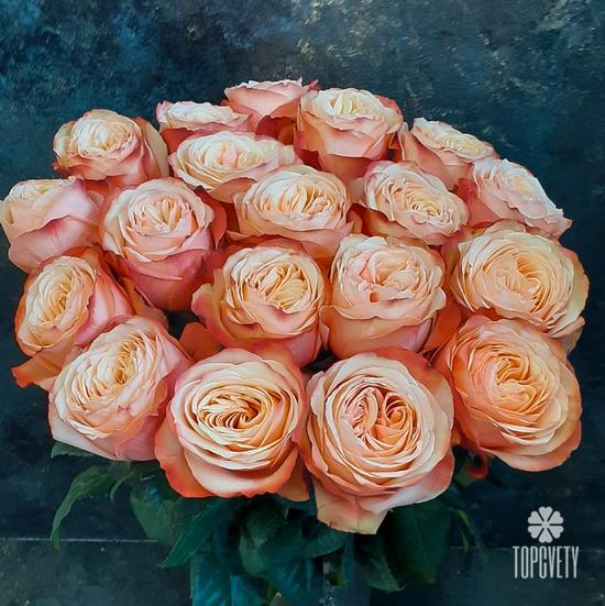 Букет из 19 пионовидных роз Кахала 60см