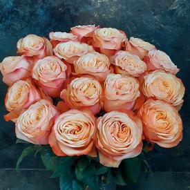 Букет из 19 пионовидных роз Кахала 60см