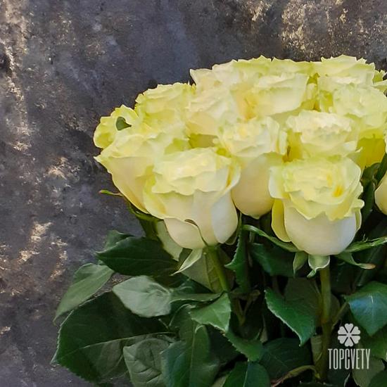 Букет из 19 белых роз Мондиаль 70см