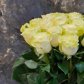 Букет из 19 белых роз Мондиаль 70см