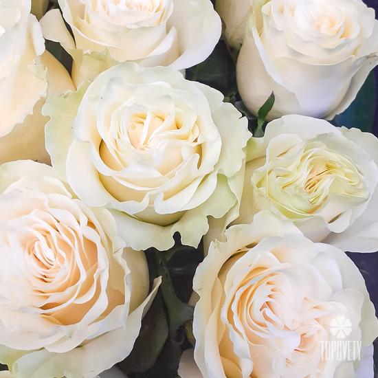 Букет из 19 белых роз Мондиаль 70см