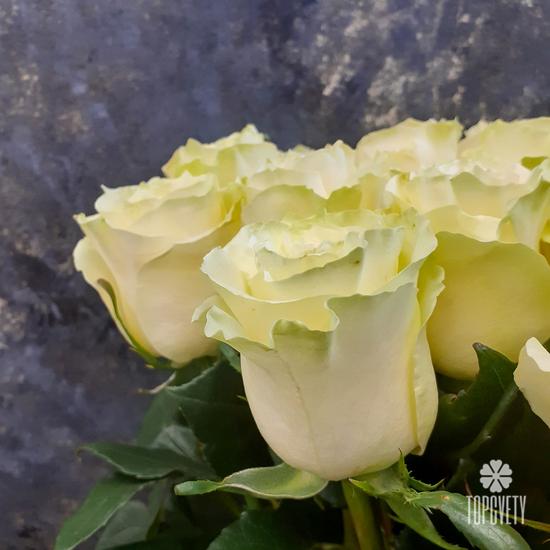 Букет из 19 белых роз Мондиаль 70см