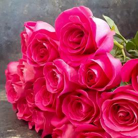 Букет из 19 розовых роз Пинк Флойд 70см