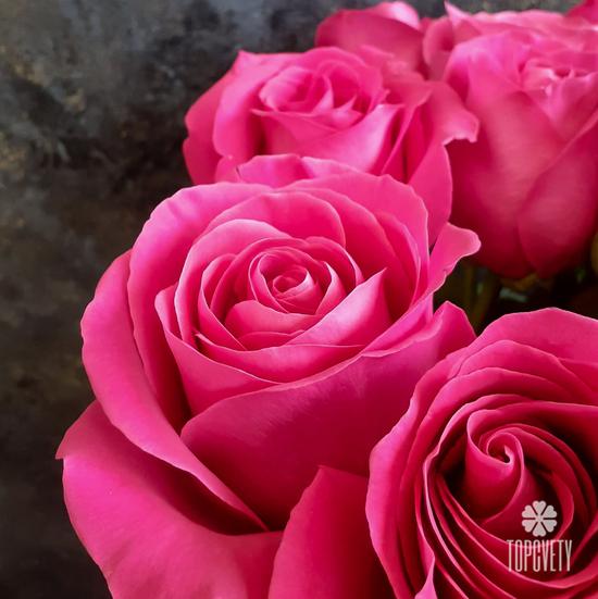 Букет из 19 розовых роз Пинк Флойд 70см