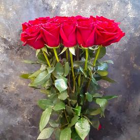 Букет из 19 красных роз Эксплорер 70см