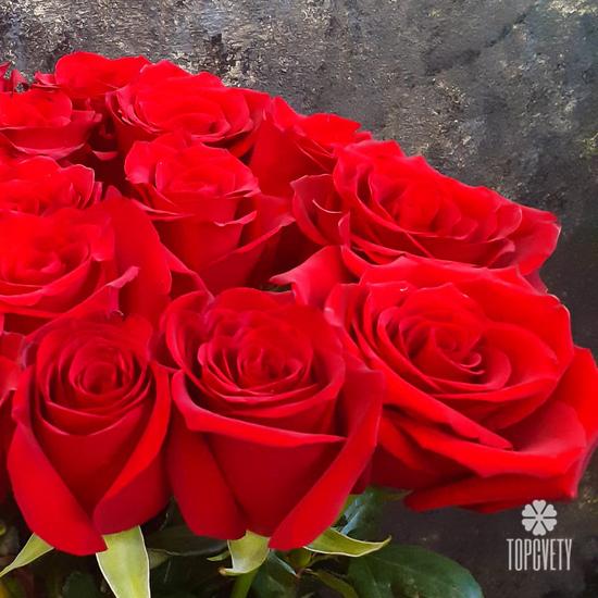 Букет из 19 красных роз Эксплорер 70см