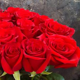 Букет из 19 красных роз Эксплорер 70см