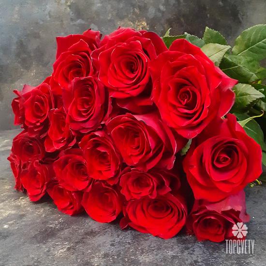 Букет из 19 красных роз Эксплорер 70см
