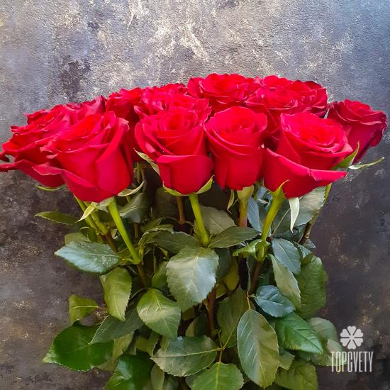 Букет из 19 красных роз Эксплорер 70см
