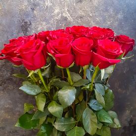 Букет из 19 красных роз Эксплорер 70см