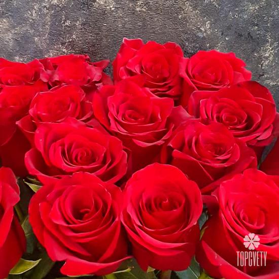 Букет из 19 красных роз Эксплорер 70см