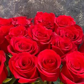 Букет из 19 красных роз Эксплорер 70см