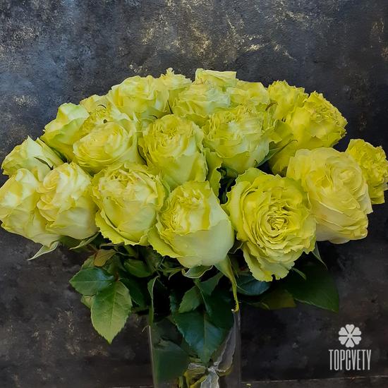 Букет из 25 желтых пионовидных роз Лимонад 50см