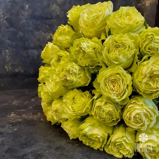 Букет из 25 желтых пионовидных роз Лимонад 50см