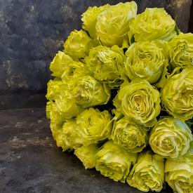 Букет из 25 желтых пионовидных роз Лимонад 50см